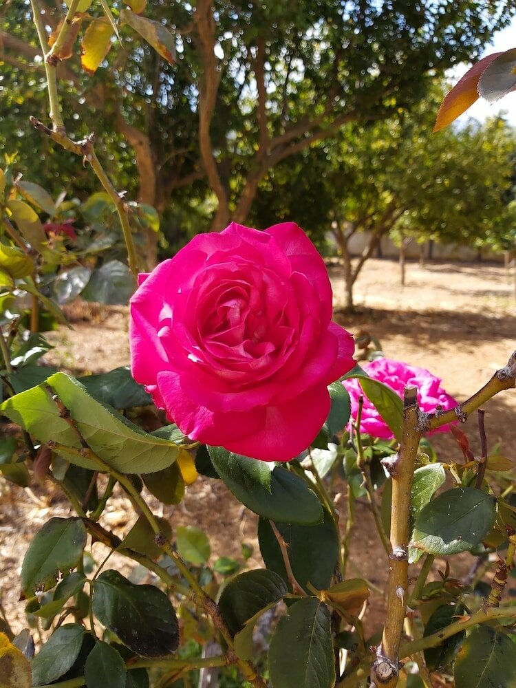 Фото Villa Armonia, Everything Is In Harmony