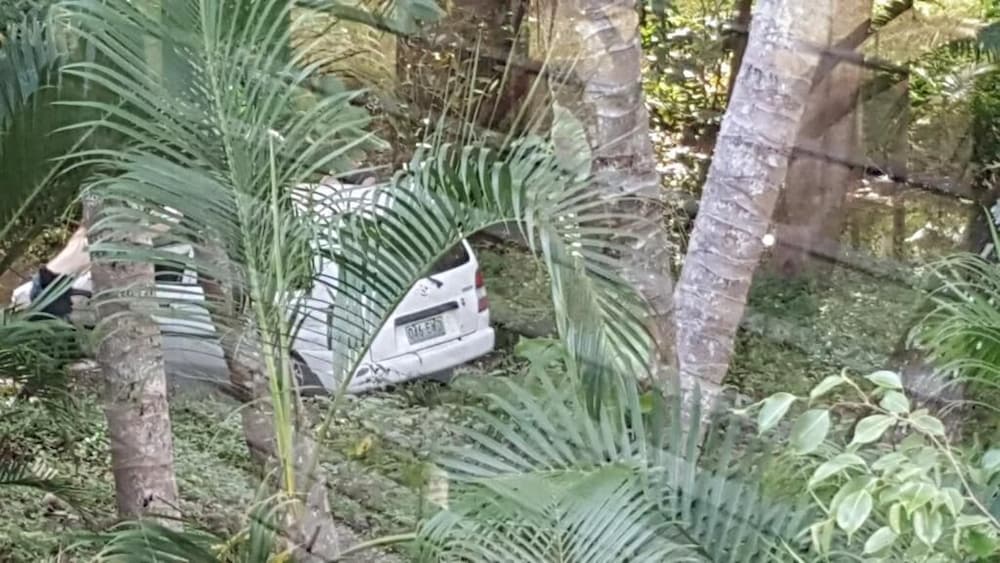 Фото The Beach Place