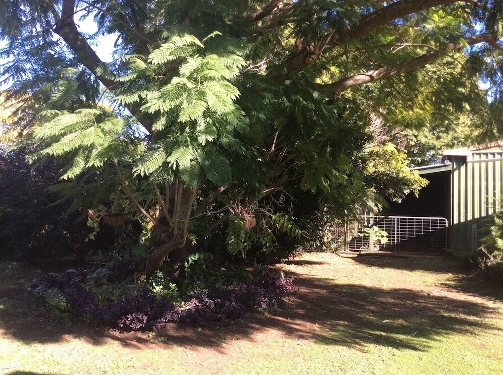 Фото Lagoon Pocket B&b