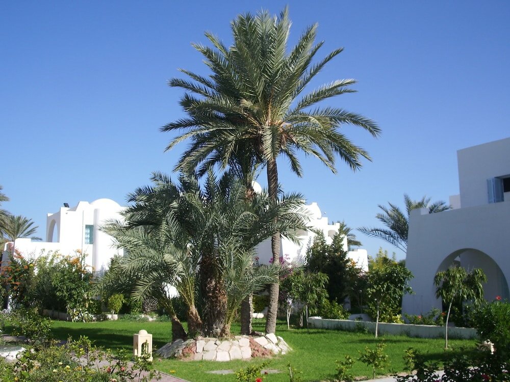 Фото Menzel Dija