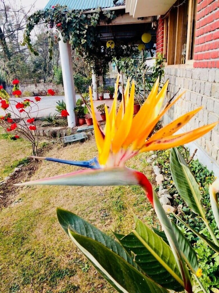 Фото Tatva Bir Tents and Hotel