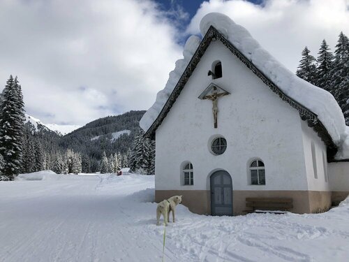 Гостиница Alpine Touring Hotel