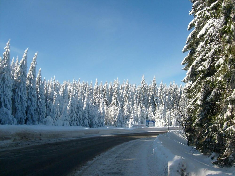 Фото Pension Haus Am Waldesrand