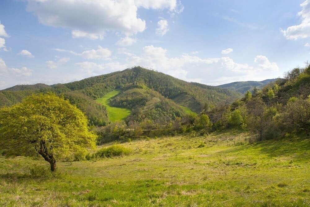 Фото Countryhouse Villa La Farfalla