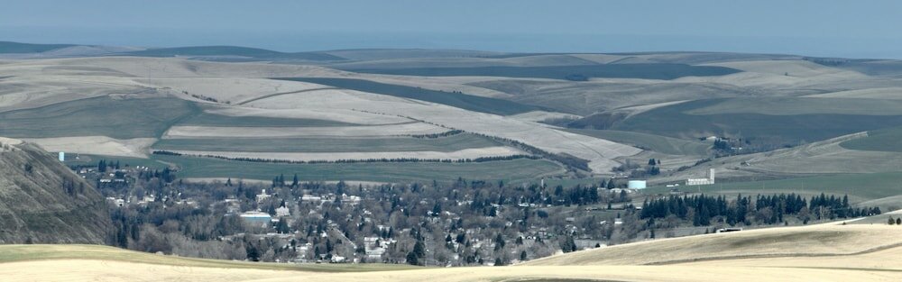 Фото Best Western Plus Dayton Hotel & Suites