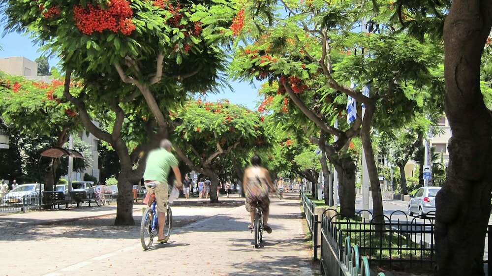 Фото The Rothschild 71