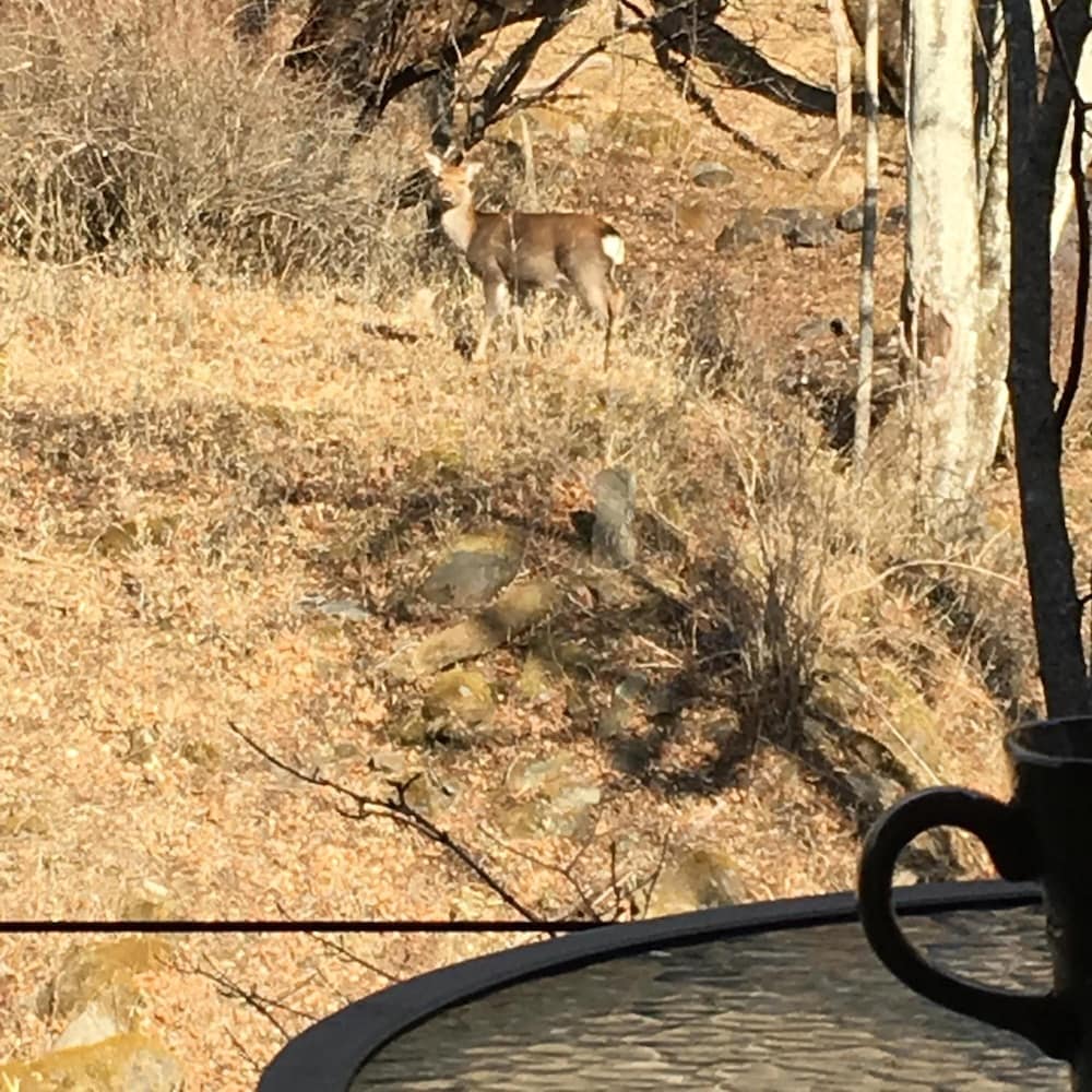 Фото B&b Izumi Nikko