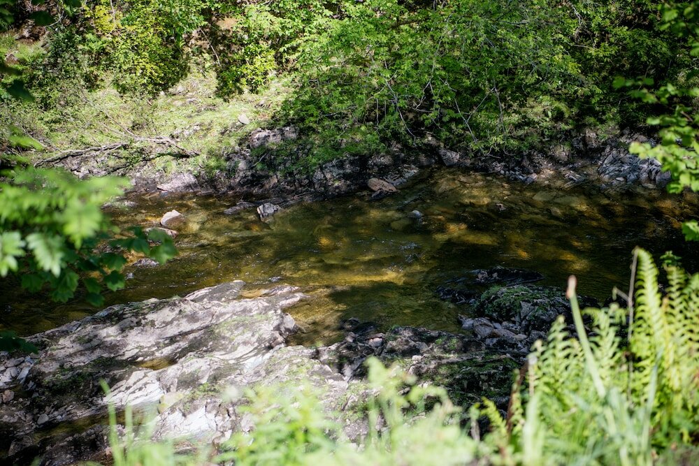 Фото Birchbank B&b Scotland