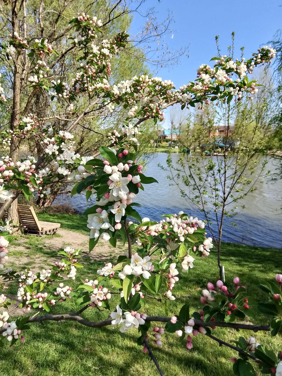 Толық метражды BDSM порно фильмдері онлайн