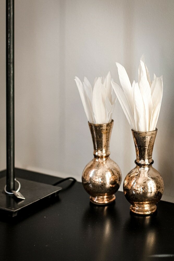 Фото The Backyard