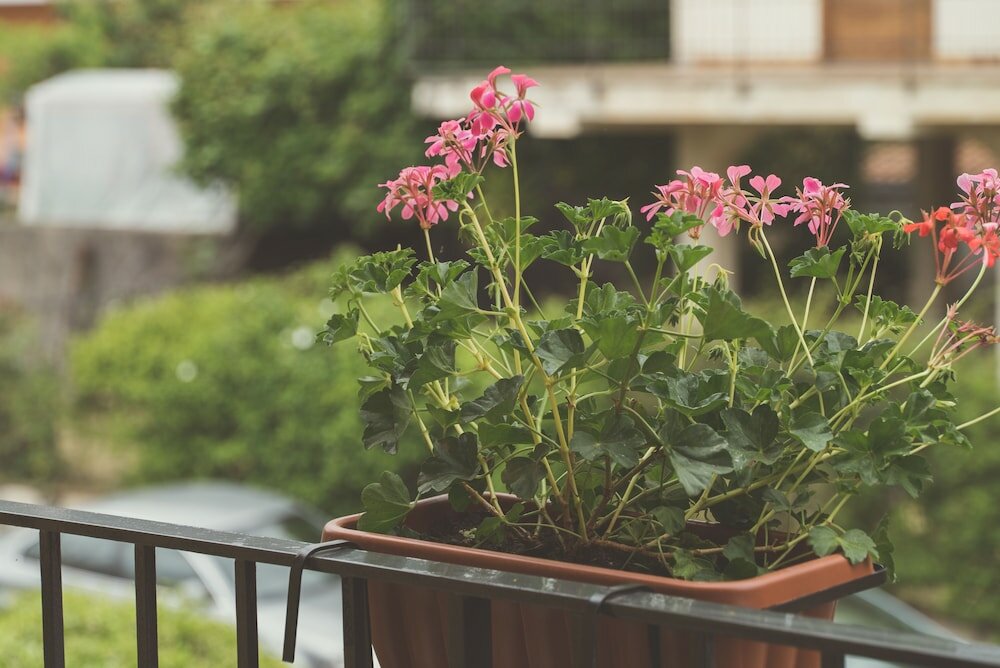 Фото B&b Alle Falde Dell'Etna
