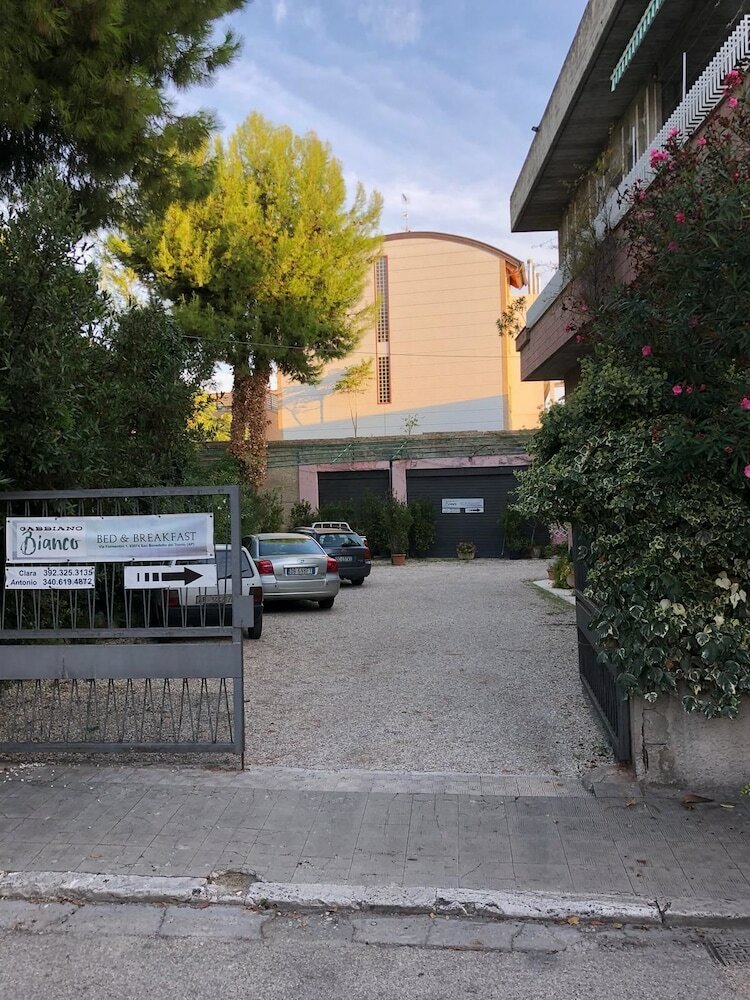 Фото Gabbiano Bianco