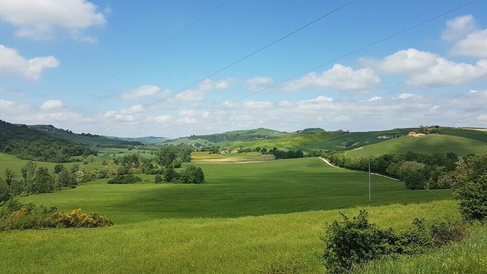 Фото Agriturismo Il Poderino