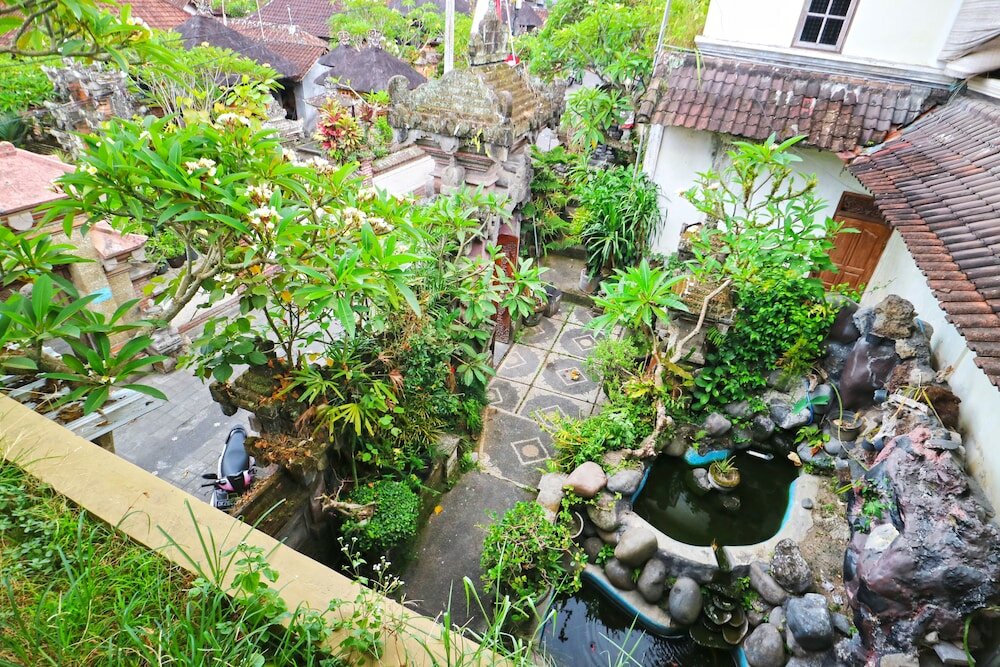 Фото Aurora House