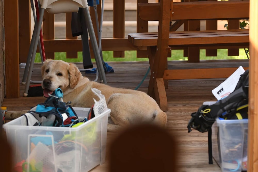 Фото Camping Zoo