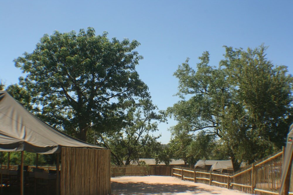 Фото Distinctly Africa - Manyeleti