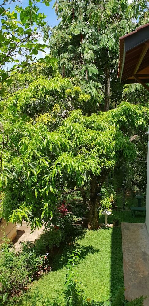 Фото Windy Ridge Kandy