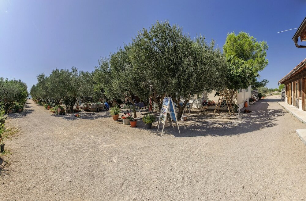 Фото Olive Garden Camp Resort