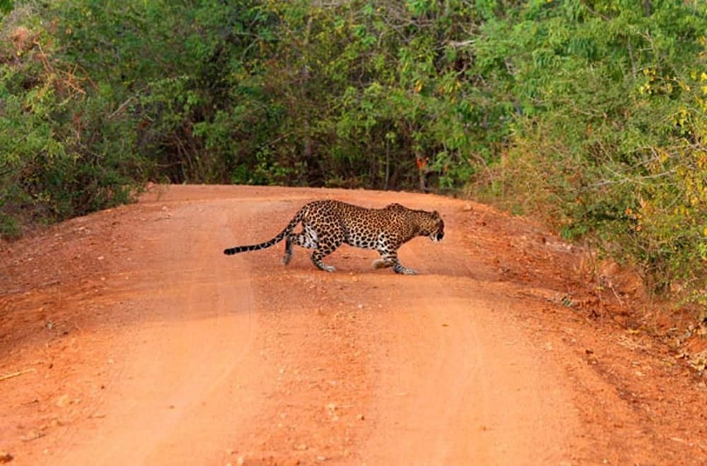 Фото Hotel Sisara