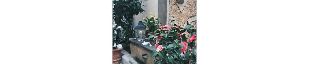 Фото Il Cortile di Elisa