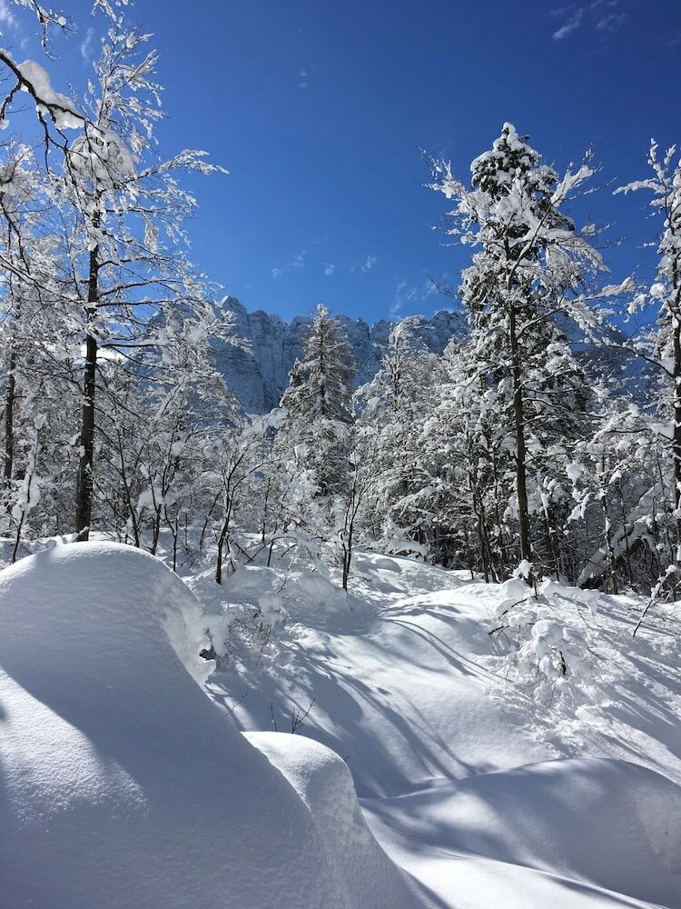 Фото Hotel Valcanale