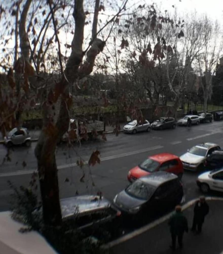 Фото Vesta Domus