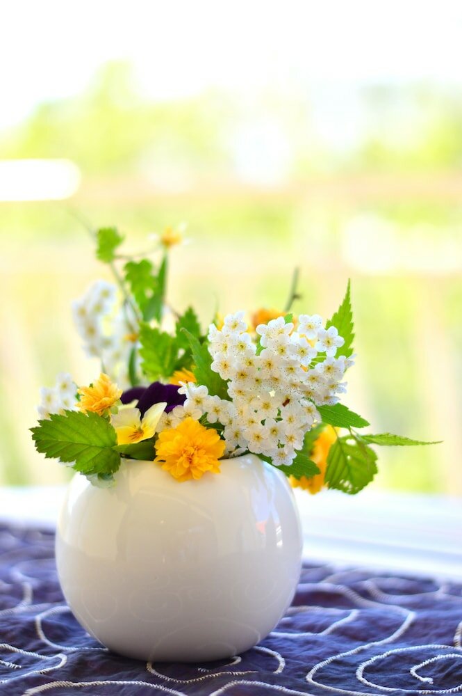 Фото Elza Apartments