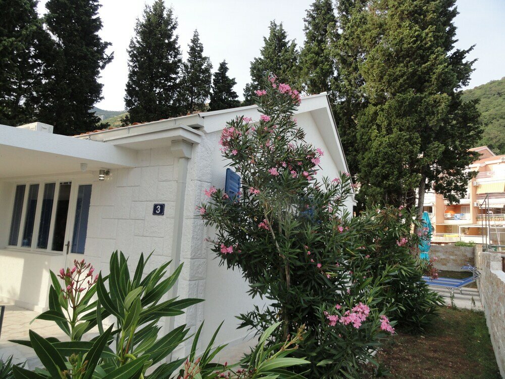 Фото Petrovac Holiday House with pool