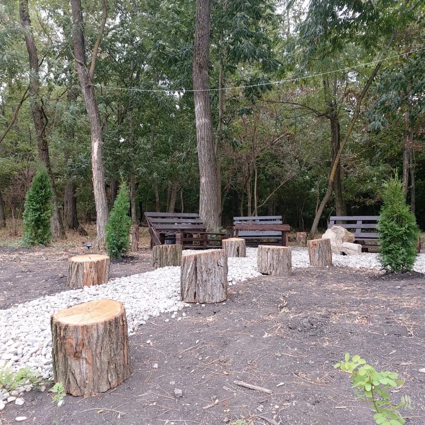 Фото Лесной уголок