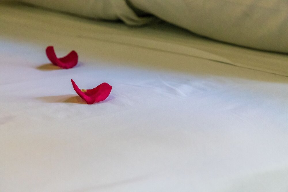 Фото Moonshine Hotel