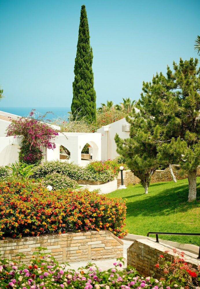 Фото The Olive Tree Hotel