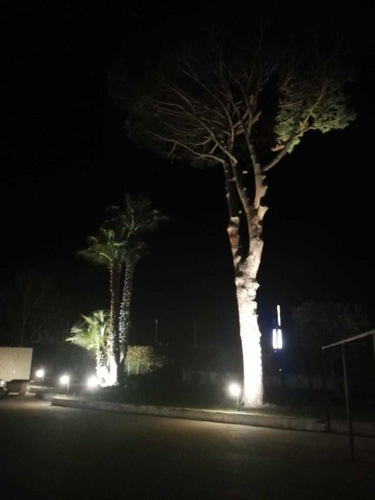 Фото Hotel Exagon Flower