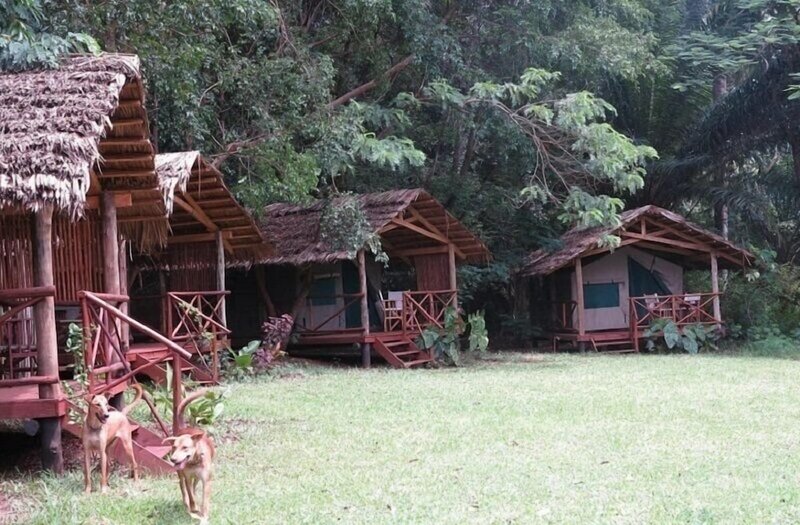 Гостиница Simbamwenni Lodge and Camping в Морогоро