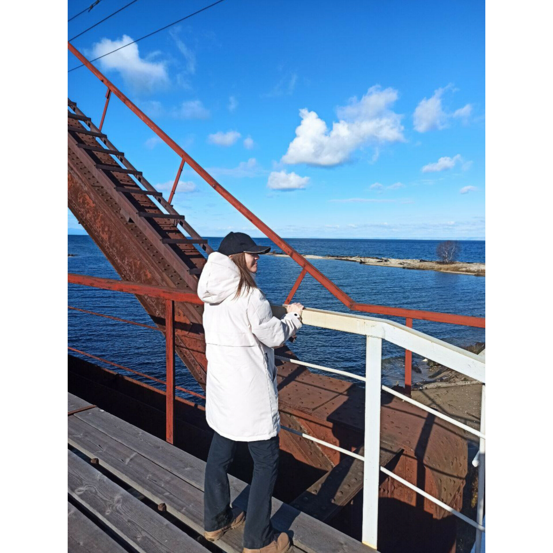 Фото Бурундуки