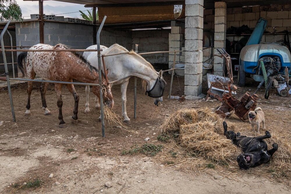 Фото Masseria Cinti
