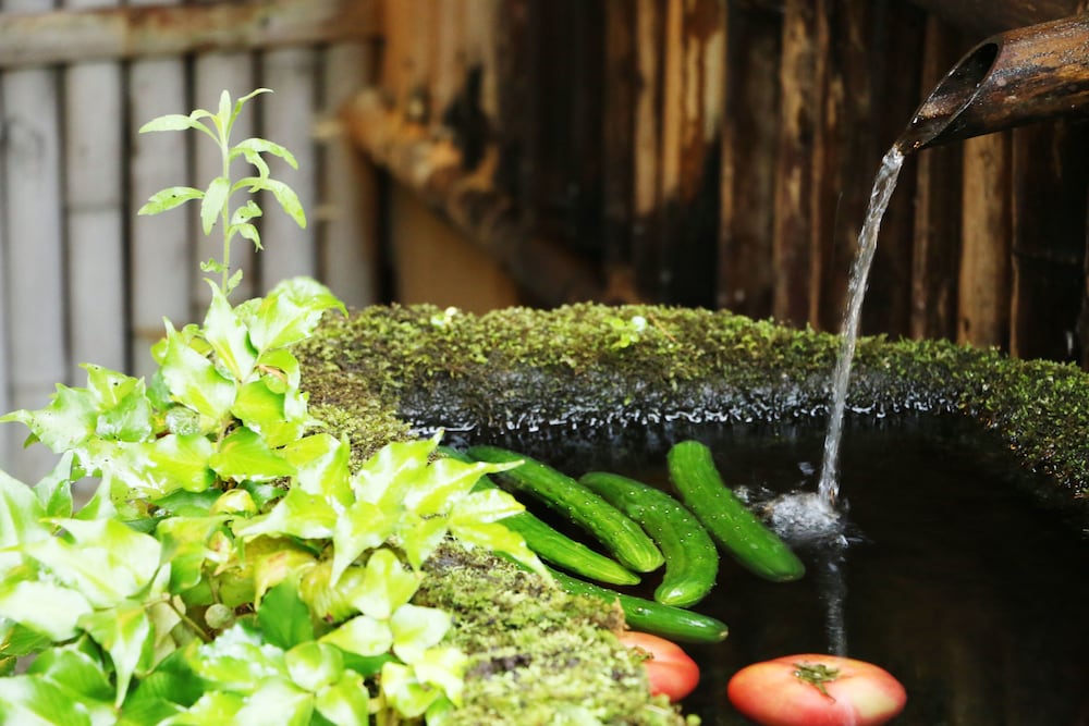 Фото Tabinoyado Asonoyu