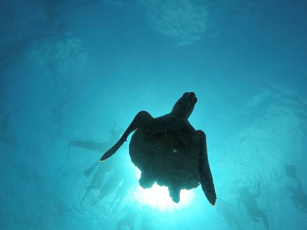 Фото Thalassa Beach and Pool Villa