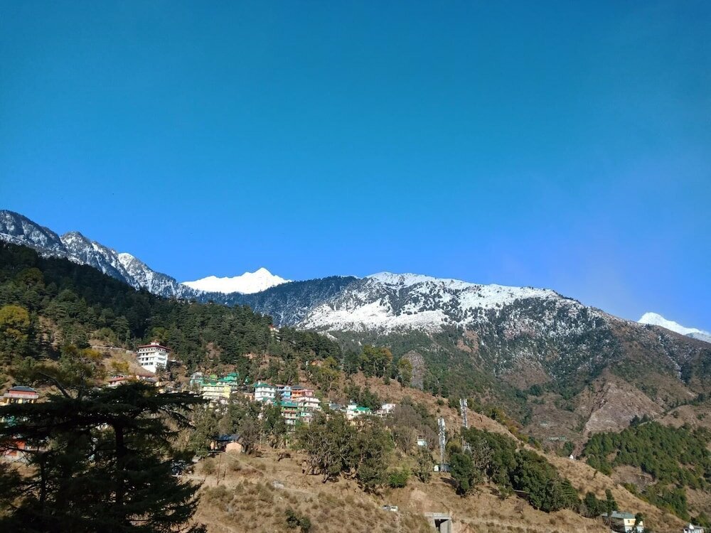 Фото Hotel Pine Spring