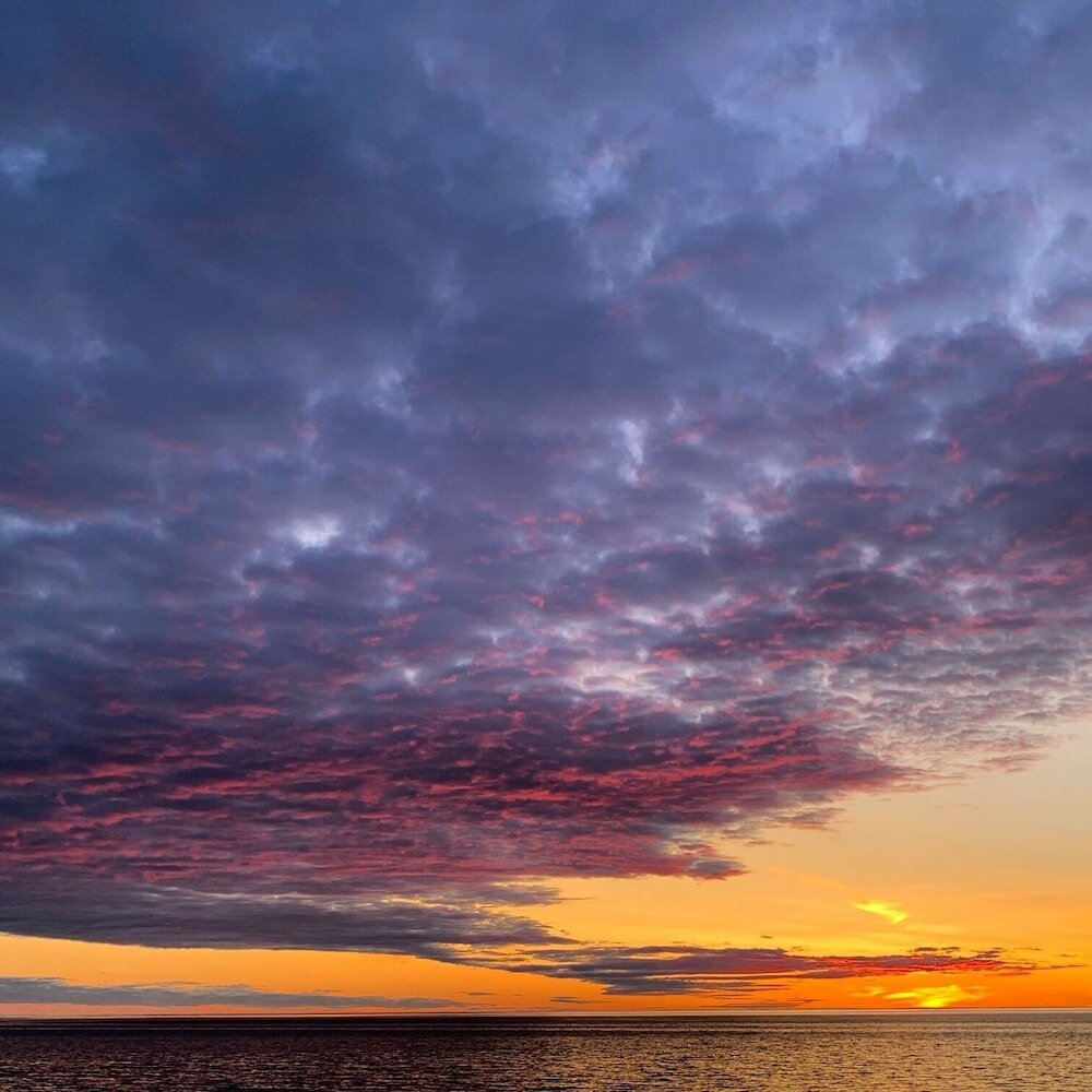 Фото Quality Inn & Suites