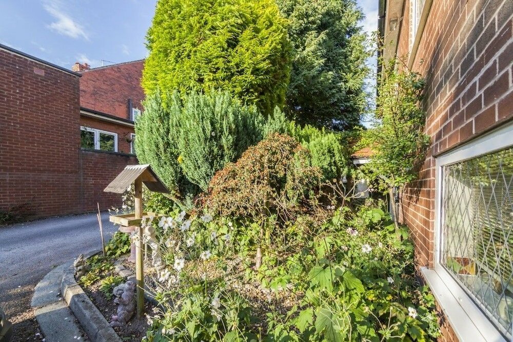 Фото Ivy Guest House