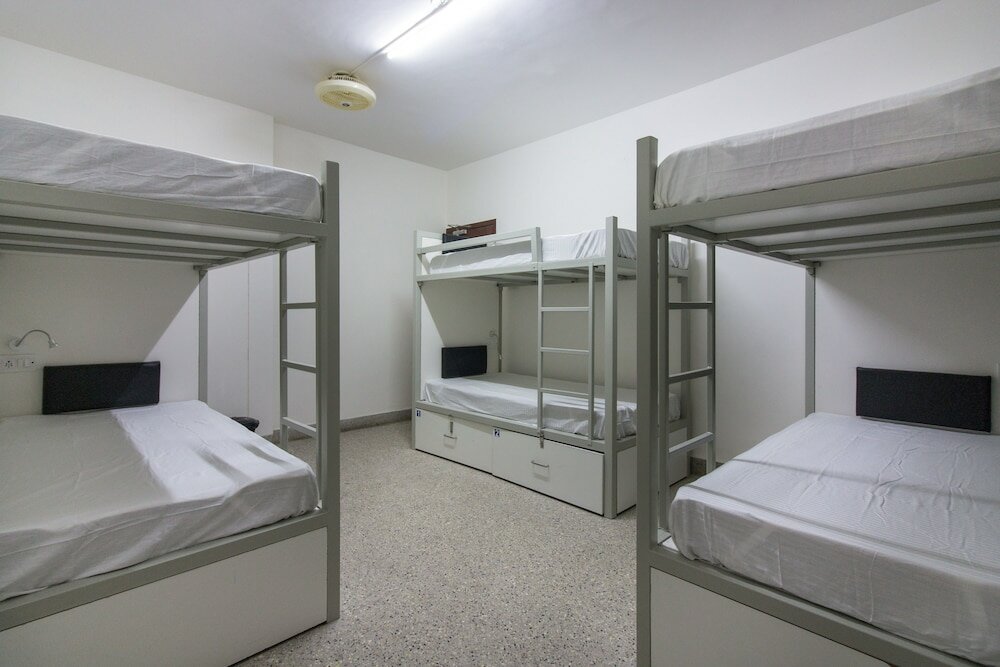 Фото Backpacker Panda Bengaluru