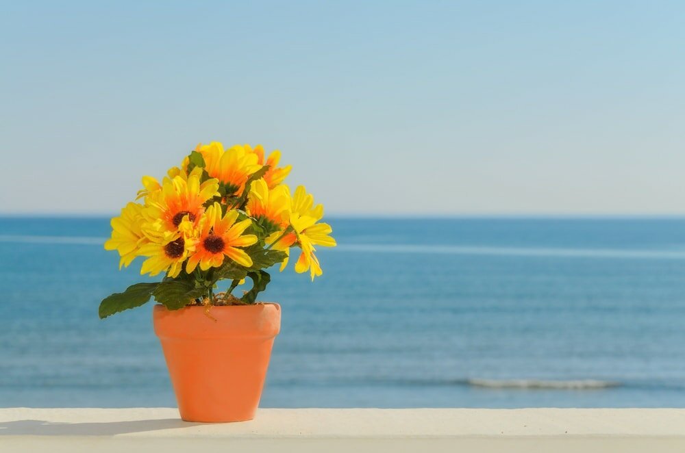 Фото Sea View Studios & Apartments