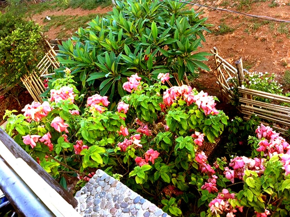 Фото The Village House