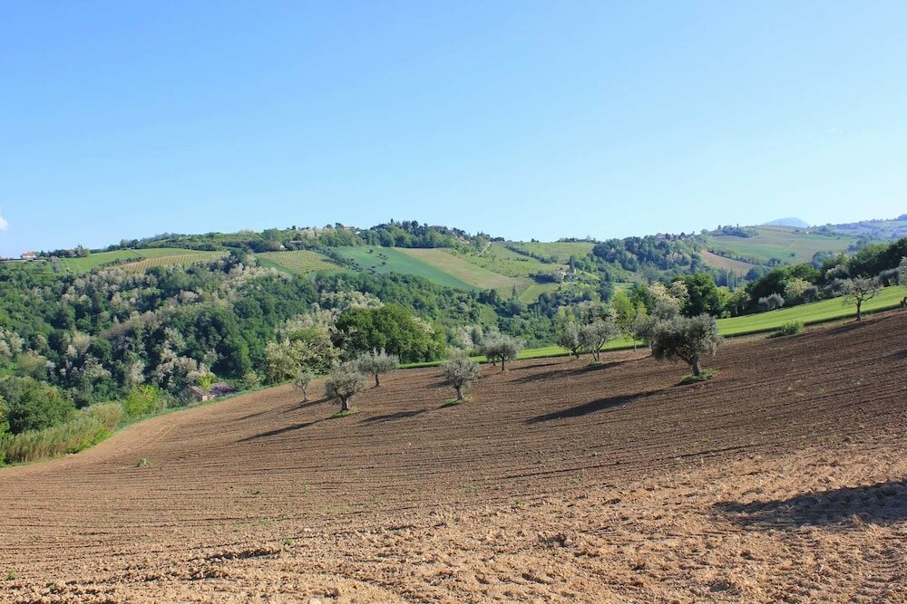 Фото Agriturismo La Vecchia Fonte