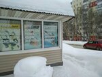 Magazin instrumenta (ulitsa Kropotkina, 118), electric and gas powered tools