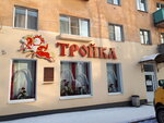 Troika (ulitsa Alekseya Kuznetsova, 2), grocery