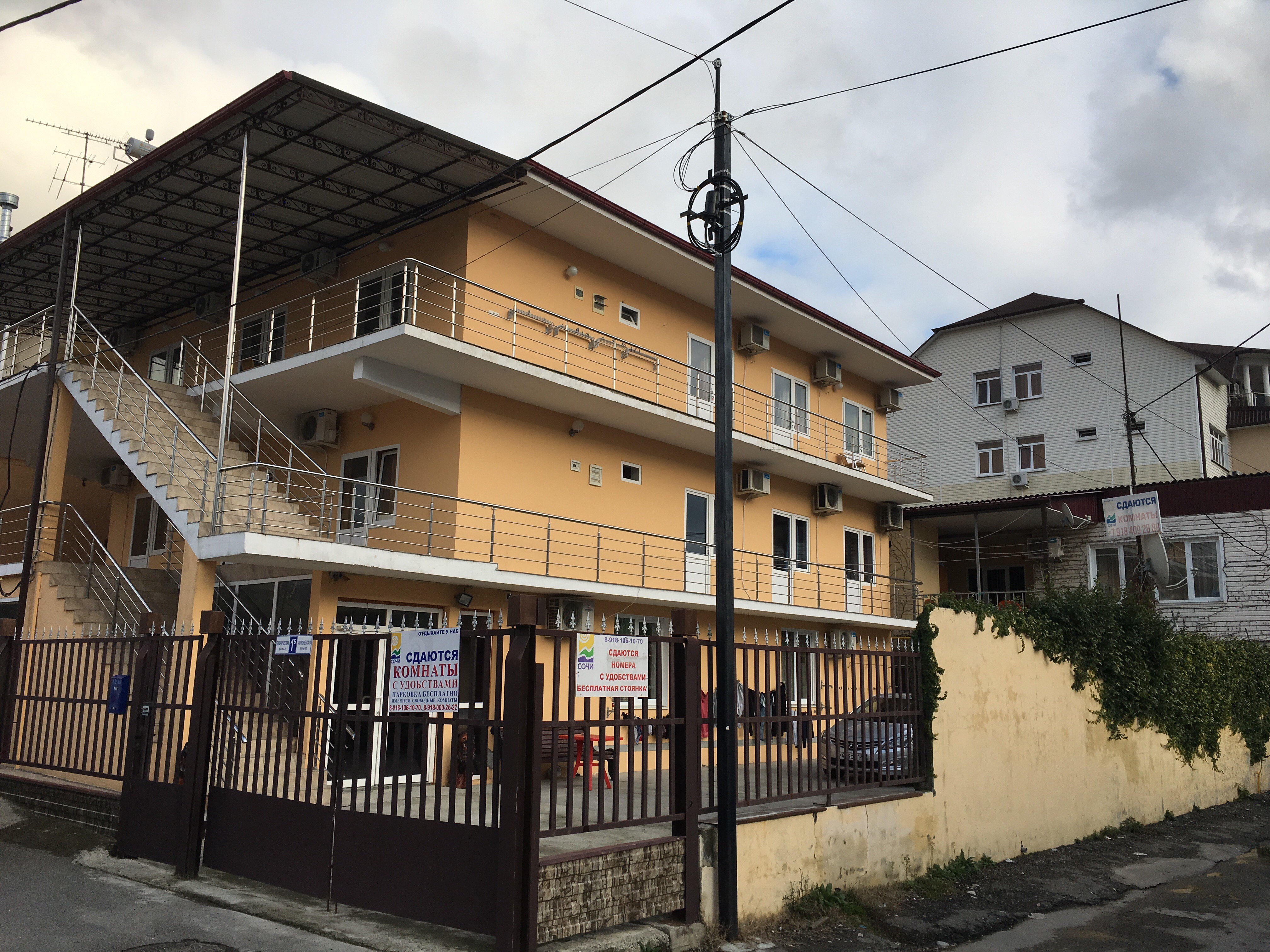 Фото Дельфин