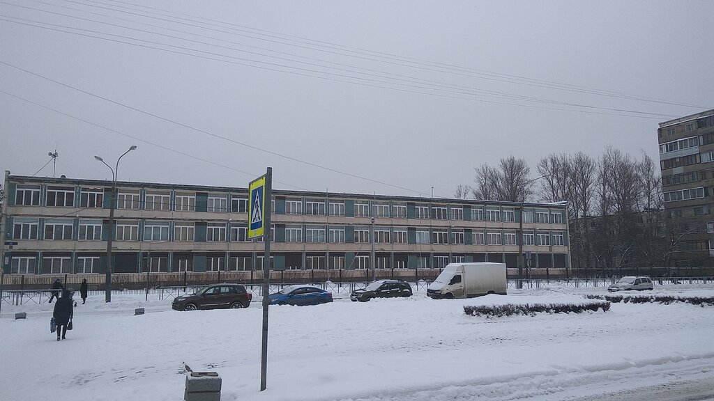 Гимназия no 227 ул турку 30 фото