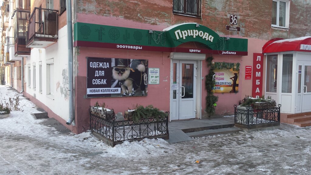 Pet shop Priroda, Asbest, photo