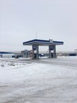 Feniks (munitsipalnoye obrazovaniye Saratov, Sokolovskoye munitsipalnoye obrazovaniye), gas station